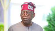 2023 election: INEC reacts to alleged drug case against Tinubu in USA