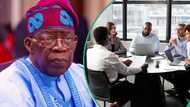 FG sets annual employment levy for companies hiring foreign workers, expert explains consequences