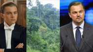 Leonardo DiCaprio: World-renowned actor calls on Ghana to save earth by keeping Atewa forest safe