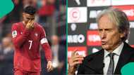 "Never be a problem: Jorge Jesus sends message to Portugal legend Cristiano Ronaldo