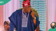 "Ba zaku iya faɗa da ni ba" Shugaba Tinubu ya ɗau zafi, ya aike da saƙo mai ɗumi ga NLC