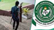 “Terrible result”: JAMB candidate gets only 9 marks in english language, 121 in aggregate