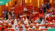 Senate exposes Nigerian Minting Company's N14 billion illegal salary raise