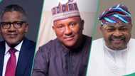 Dangote, Rabiu, Adenuga defy naira fall, others, as combined wealth hits new record in 2024