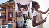 "She is a wall gecko": Female painter paints 2 storey building alone, viral video shows her at work