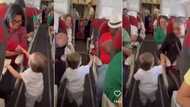 "So respectful": Little boy shakes hands with passengers in aeroplane, video melts hearts