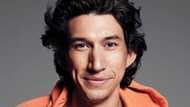 Discover all the interesting details about Adam Driver