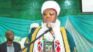 Auren mace fiye da 1 na da nasaba da tabarbarewar ilimi a kasar nan, Sarkin Anka