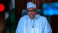 Kananan hukumomi 5 na hannun Boko Haram; Ƙusa a gwamnatin Borno ya gyara kuskuren da Buhari ya yi a jawabinsa