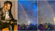 "OBO stole the show": Moment 'oyinbo' crowd went wild as US rapper Travis Scott brings Davido out at concert