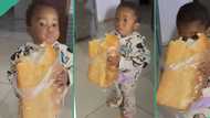 "Her Christmas has started": Child excitedly grabs big loaf of bread, eats it in viral video