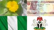 11 national symbols of Nigeria and their meanings explained