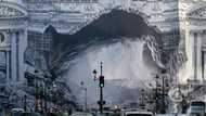 Greens see red over giant Paris billboards