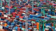 China's economy likely grew 5.1% in Q1 on export surge: AFP poll