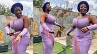 "Gallant babe": Beautiful lady with chubby shape dances in a sweet way at wedding, video goes viral on TikTok