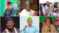 2023 governorship polls: List of APC, PDP, guber candidates Labour Party has endorsed