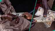 New exchange rate as dollar crashes to six-month low against naira