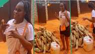 "Apply wisdom": Young lady uses N250k given to her for wig to buy yams for her roadside business