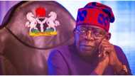 13 agencies exempted as President Bola Tinubu dissolves boards, agencies, others
