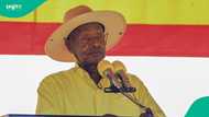 Uganda drops yellow fever certificate requirement for all travellers in 2026
