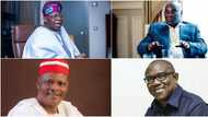 Atiku, Tinubu, Obi: Top political analyst speaks on vote buying, reveals what Nigerians, INEC should do
