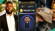 Hamster Kombat: Man who withdrew money from Notcoin hits 196 million taps on new crypto airdrop