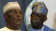 Atiku blasts President Tinubu over economic hardship: "We're witnessing Buhari pro-max"