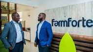 Court orders Agropartnership, Farmforte to fully refund investors' funds, freezes accounts