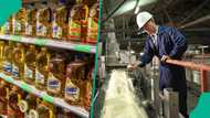 Prices of sugar, vegetable oils cause dip in global food price index