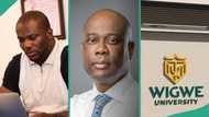 Man kicks as Wigwe University changes its vice chancellor 165 days after demise of Access Bank CEO