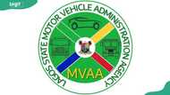 MVAA plate number verification: different ways to verify your vehicle's ownership