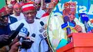 APC-led FG breeding new terrorists in Kano? Security agencies told to arrest Kwankwaso