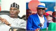 PDP crisis: Atiku's rift with Wike, G-5 Govs beyond reconciliation, analyst spills, reveals way forward for both parties