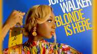 Johnnie Walker Blonde lights up Lagos for its launch at Island BlockParty
