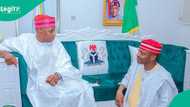 'Dan Kwankwaso ya yi murabus daga mukamin kwamishina a gwamnatin Abba