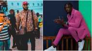 Dragging a Grammy winner for not winning another one is wild: Wizkid's stan heavily trolls Davido's ex-signee