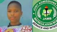 JAMB results 2024: Arts student scores 279 in UTME, gets 86 in government and 66 in literature