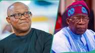 2027: Ex-guber candidate mentions what will happen if Peter Obi picks ADC presidential ticket
