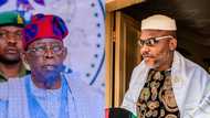 Nnamdi Kanu: Metuh tells Tinubu to adopt political solution to release IPOB leader