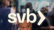 Two weeks of banking turbulence
