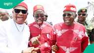 Anambra: Tinubu shares what he thinks about Soludo