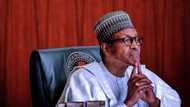 Coronavirus: Presidency confirms President Buhari’s test result