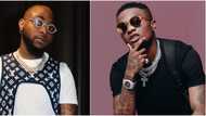 Fans revisit Davido's tweet showing support for Wizkid's debut album in 2011