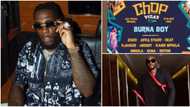 2baba responds to fan fuming because Burna is headlining show where senior colleagues are billed to perform