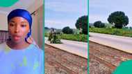 Passengers in disbelief as driver abandons them by roadside and enters his farm to harvest crops