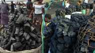 Anger as gov't announces total ban on cooking charcoal production, gives reasons