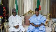 Mai Mala Buni, Yahaya Bello are great blessings to APC, say Party state chairmen