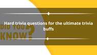 100+ hard trivia questions for the ultimate trivia buffs