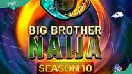BBNaija season 10: All you need to know about the rules and cast