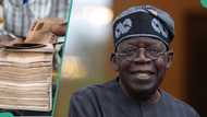 Tsadar rayuwa: Gwamnatin Tinubu na bada tallafin N500,000 ga matasa? Gaskiya ta bayyana